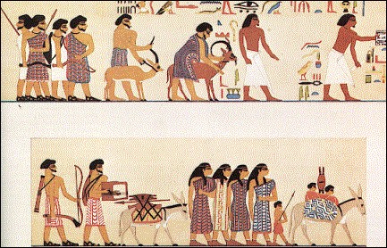 Biblical Egyptology ULC
