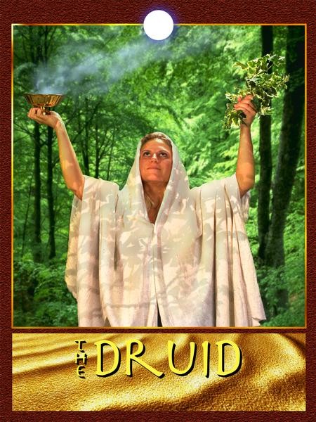 At the ULC Seminary, we study Druidism.
